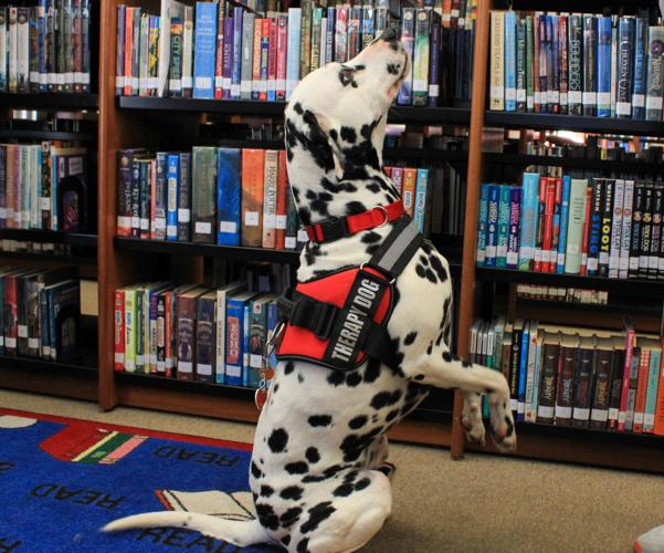 PHOTOS: Therapy dog comes to Dadeville Library