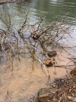 Build for future fishing