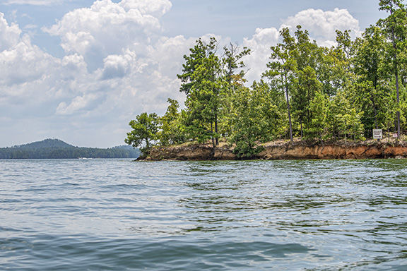 What's Reshaping Lake Martin