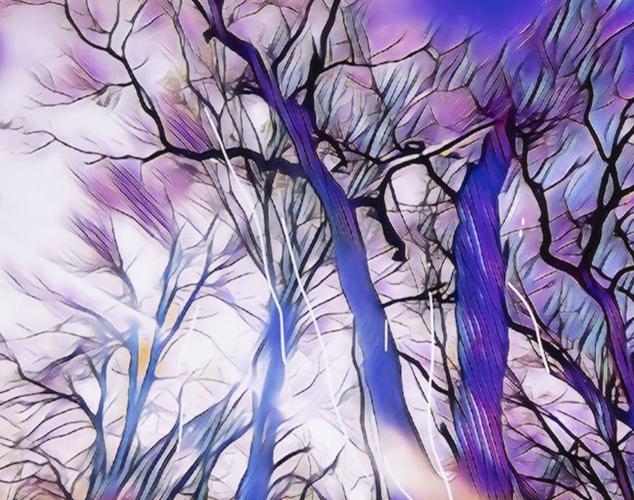 Lake Martin Living Art & Photo Contest