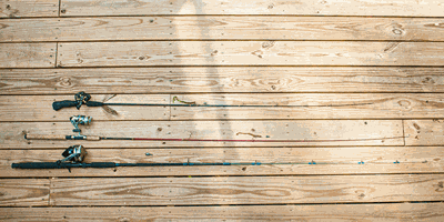 Pick a pole: Balance power and strength with length to catch fish