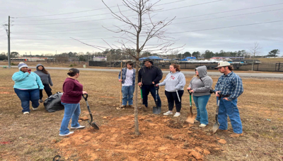 013126 rotary tree planning1.png