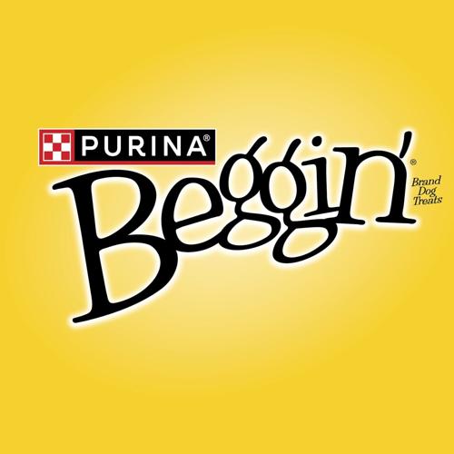 Purina Beggin' Dog Treats