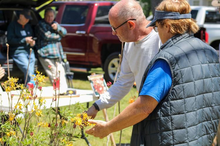 PHOTOS: Plants in the Park