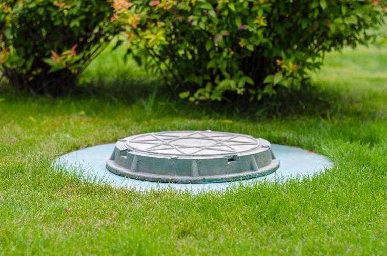The grass is always greener over the septic tank