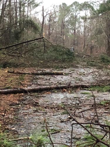 PHOTOS: Damage from tornado-warned storm across Tallapoosa County