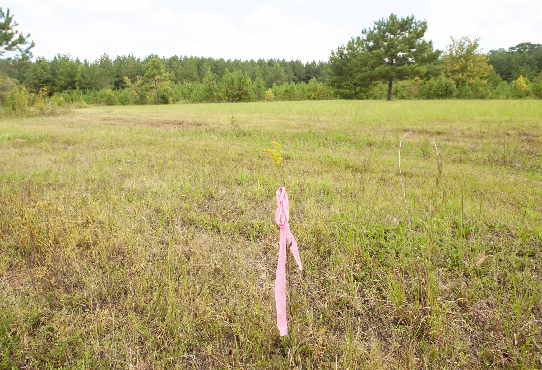 New industry to locate in Dadeville