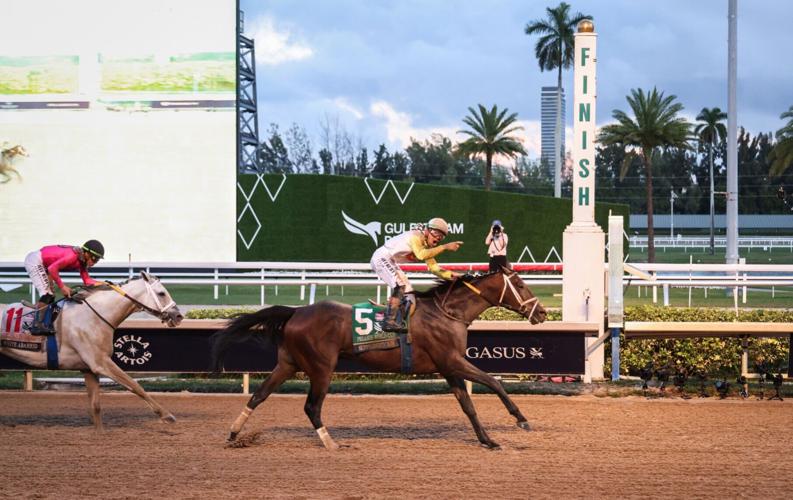 Skippylongstocking and Jockey Tyler Gaffalione cross the finish line to win the $3 million Pegasus World Cup Invitational (GI)