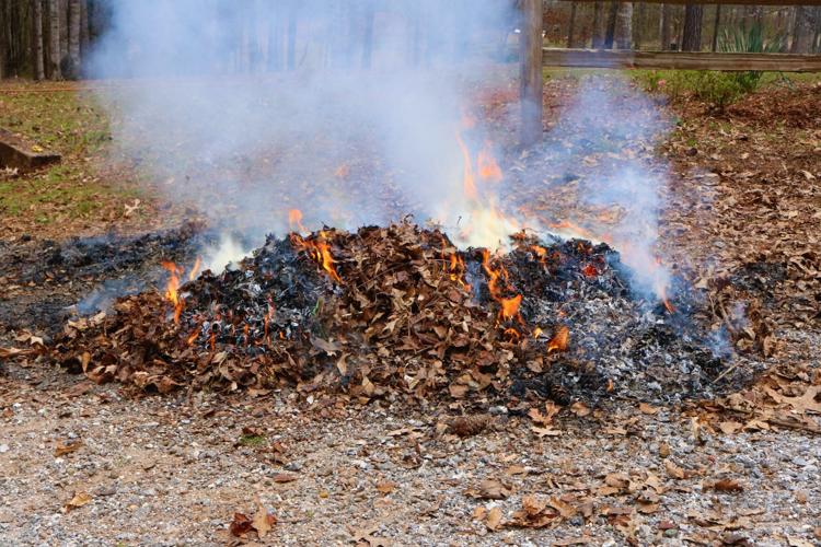 Don't put the lawn mower away yet