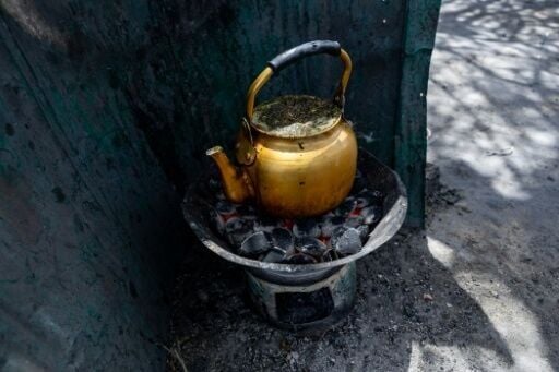 'Green' coal lasts longer, is economical, is less dirty and better for the climate, argue its adherents