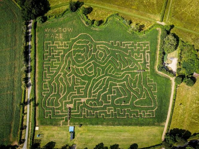 Giant maze’s gorilla design celebrates Sir David Attenborough’s 100th birthday