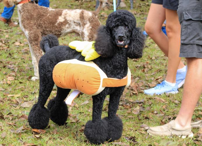 PHOTOS: 2023 Alabama Cotton Festival