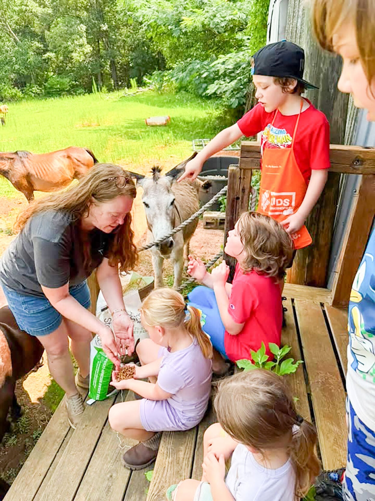 070826 Meadows Farm .jpg