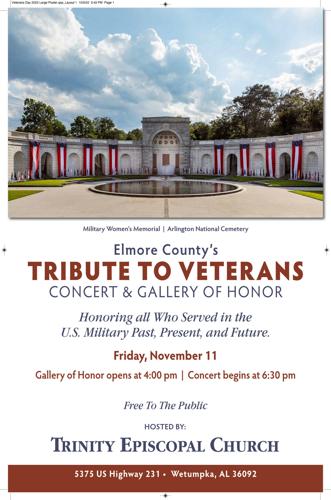 Several options for celebrating Veterans Day