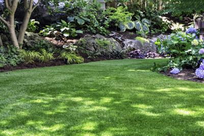 This is your year to grow a great lawn
