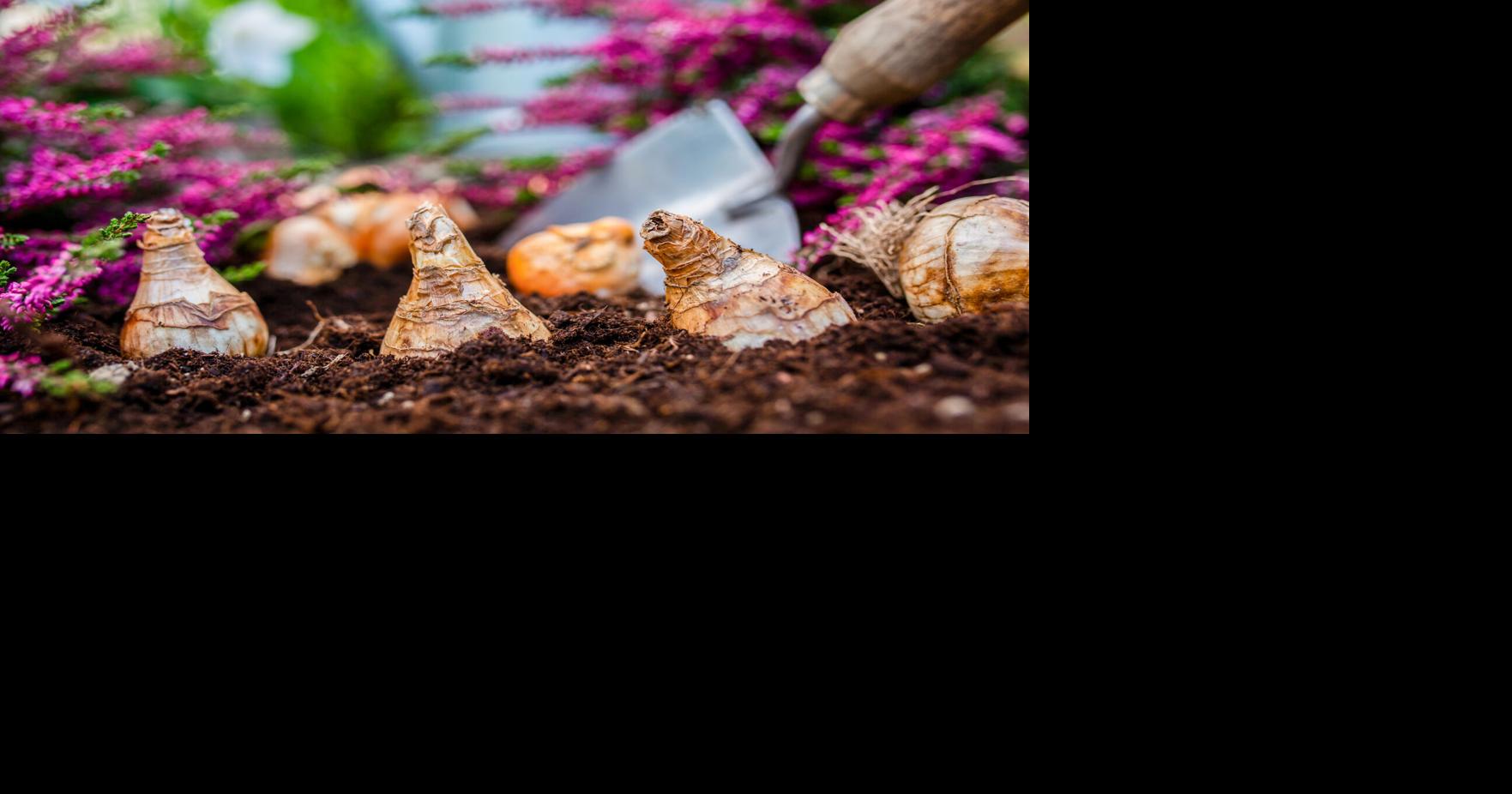 Spring Forward with fall planting | Lake Martin Living | tpimediagroup.org