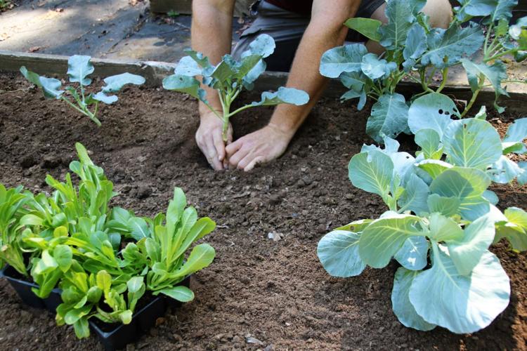 Reset with a Fall Garden