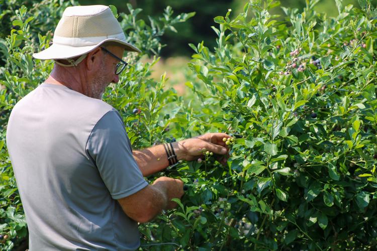 PHOTOS: Living Stones Community local mission trip