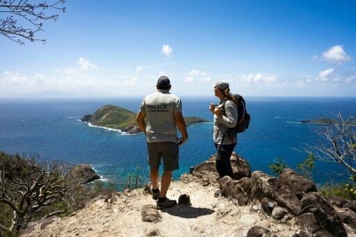 Goat vs gecko: A tiny Caribbean island faces wildlife showdown