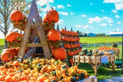 City hosting Fall Farmers Market Festival