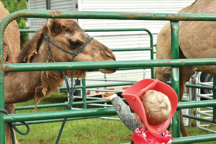 Annual rodeo raises money for Boys & Girls Club of Lake Martin Area