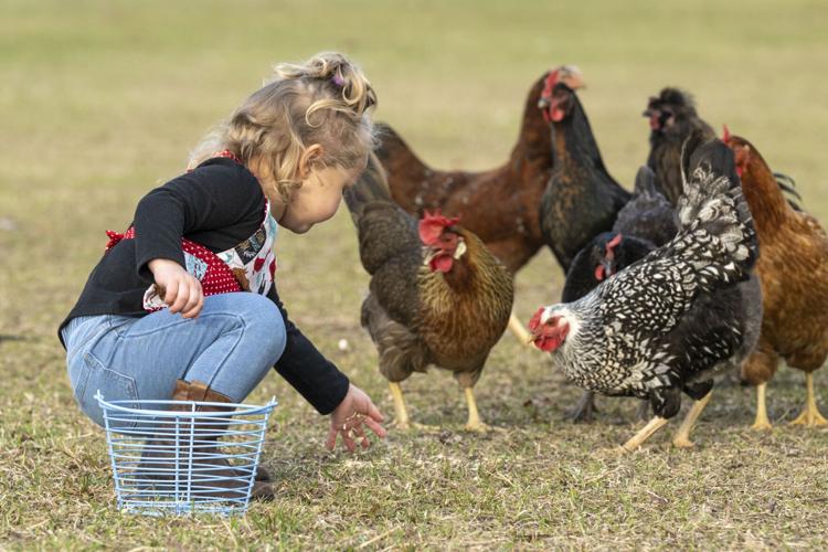 One Step Toward a Dream