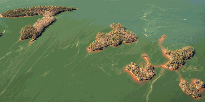 Geography 101: Lake Martin’s Canary Islands