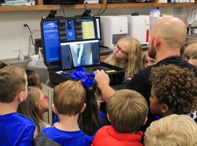 RES kindergartens visit local veterinarian practice