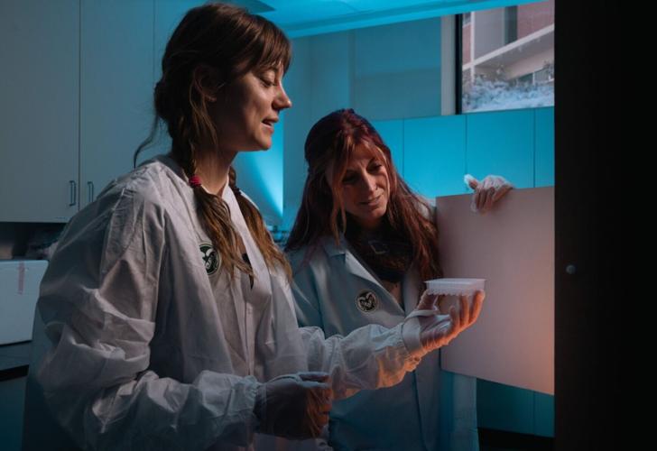 Particles bubbling up from melting Arctic sea ice play key role in cloud formation