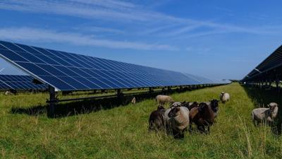 Finding middle ground in the solar debate with agrivoltaics
