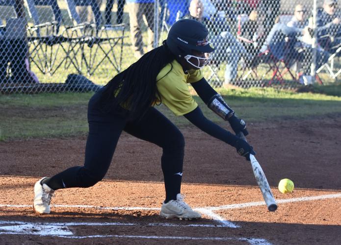 Dadeville Central Coosa softball