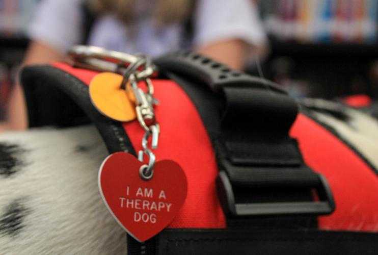 PHOTOS: Therapy dog comes to Dadeville Library