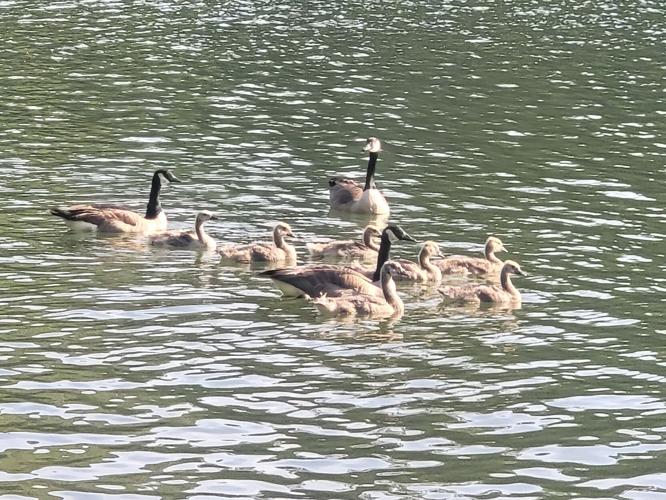 August 2021 Lake Scenes