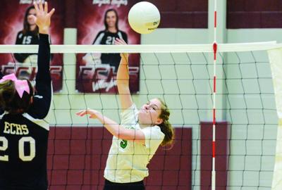 Large senior class keeping Bulldogs ahead of schedule despite lost offseason