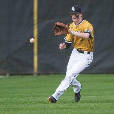 Mix of veterans, newcomers to lead CACC baseball