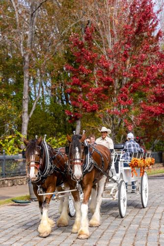 2022 Fall Family Festival (73 of 152).jpg