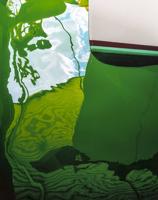 Lake Martin Living Art Walk