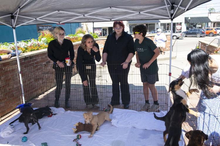PHOTOS: Pet adoption event in downtown Wetumpka