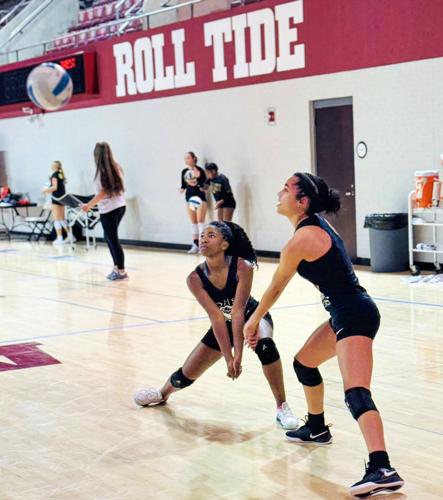 Tigers volleyball travels to Tuscaloosa