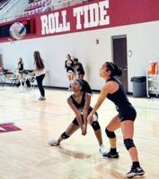 Tigers volleyball travels to Tuscaloosa