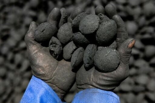 Plant waste is turned into briquettes of biochar, or "green coal", in Chad
