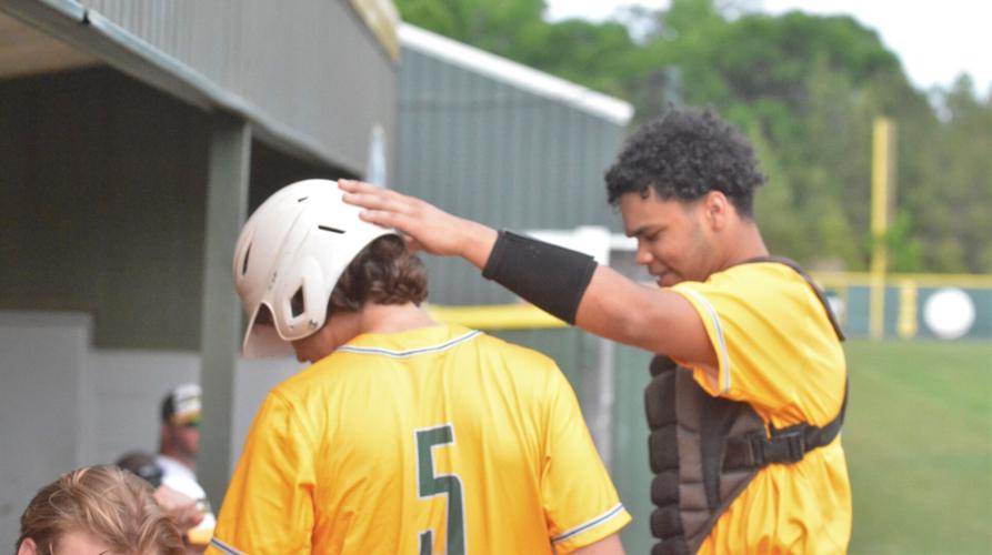 PHOTOS: Edgewood baseball advances to state final four