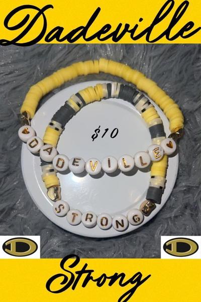 Fundraising begins for those affected by the Dadeville shooting