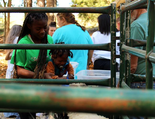 PHOTOS: Oktoberfest kicks off in Alexander City