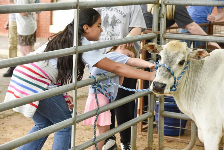 051326HBSFarmDay9.jpg