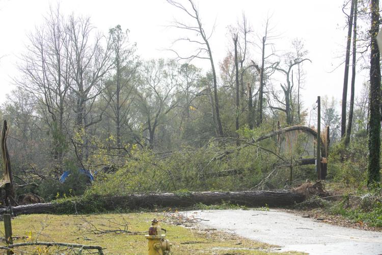 PHOTOS: Storm damage across Elmore County