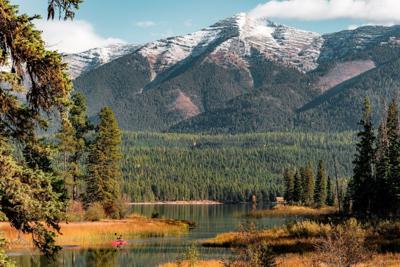 National Forests
