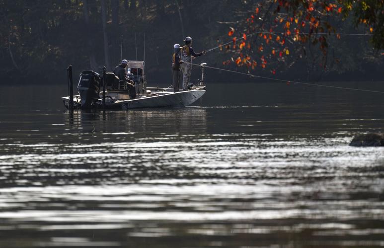 Big Bass Conundrum Part 2 The science behind it