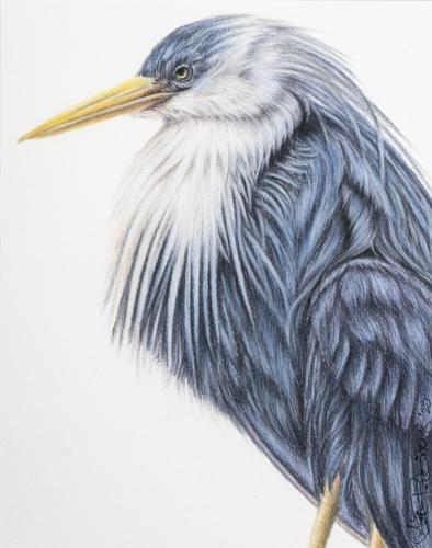 Lake Martin Living Art & Photo Contest