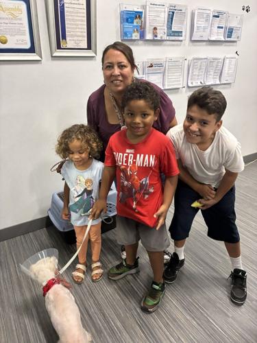 Family reunited with Maltipoo three years after it went missing